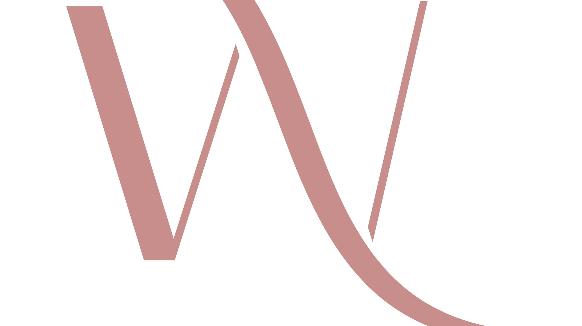 Fearless & Fabulous: Nicole's Wig Journey - Wig Studio 1