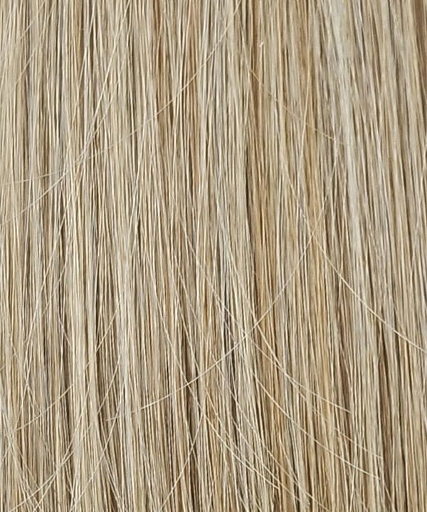RH1488 | Dark Blonde with Lightest Blonde Highlights
