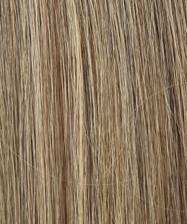 R12/26CH | Light Brown with Chunky Golden Blonde Highlights