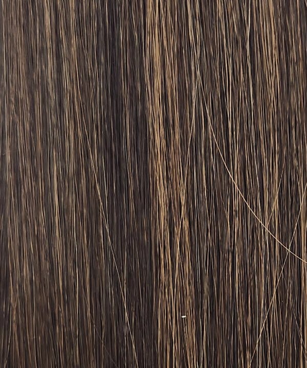 R6/28F | Chestnut Brown with Red Frost