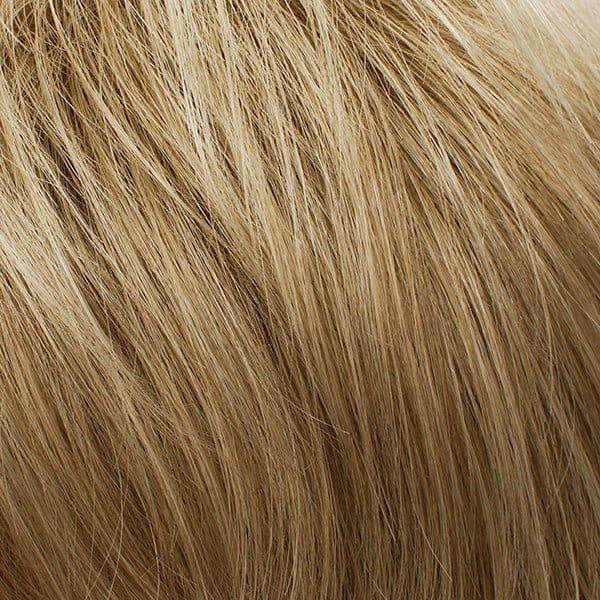 18S22 | Light Ash Brown and Ash Brown Blend: Lighter Front, Darker Back