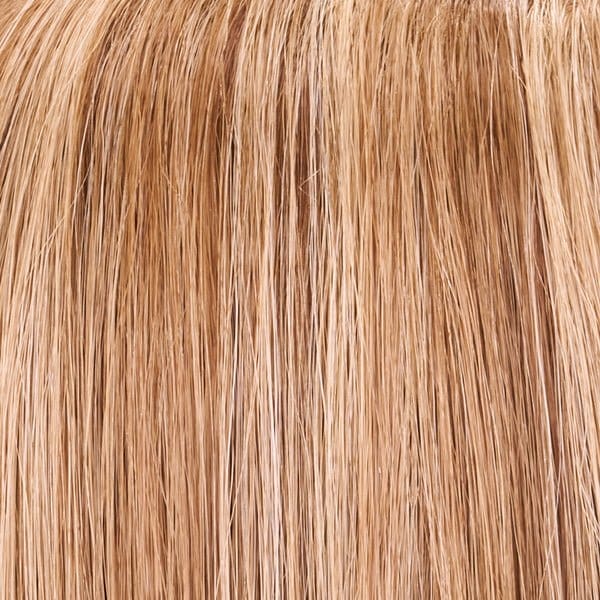 10H24B | Lt Brown w/ 20% Lt Gold Blonde Highlights