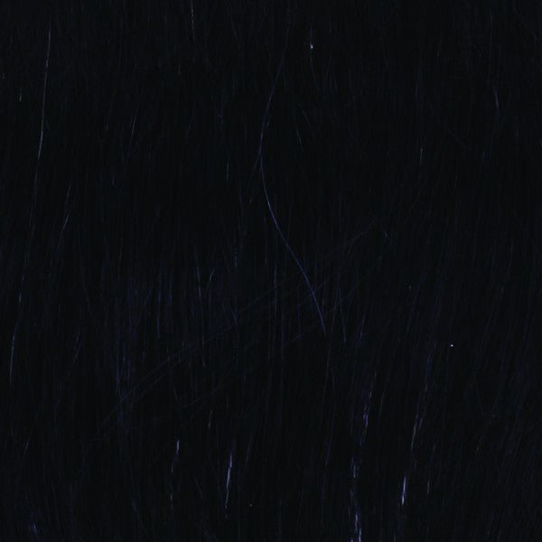 Breeze by Raquel Welch | Synthetic Wig | Basic Cap - Wig Studio 1