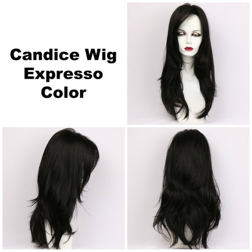 Candice Synthetic Wig by Godiva Secret Wigs | Basic Cap - Wig Studio 1