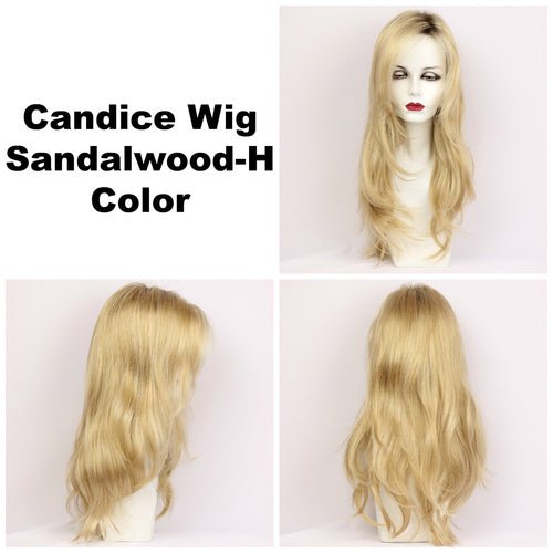 Candice Synthetic Wig by Godiva Secret Wigs | Basic Cap - Wig Studio 1