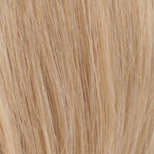 R140/22 | Spring Honey Blonde / Light Ash Blonde Blend