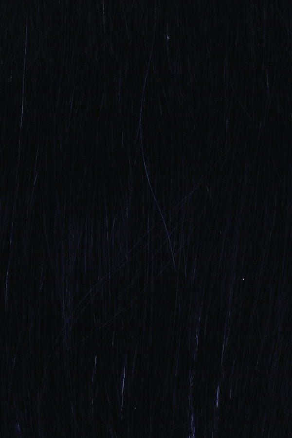 Center Stage by Raquel Welch | Synthetic Lace Front Wig | Hand Tied - Wig Studio 1