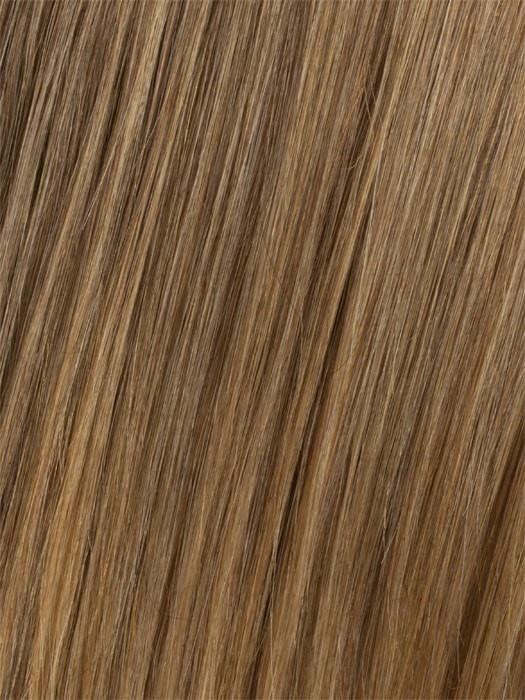 14/16T Dark Ash Blonde Blended with Honey Blonde Dark Ash Blonde Tips