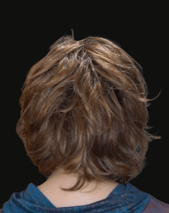 Debutante Synthetic Lace Front Wig by Gabor - Wig Studio 1