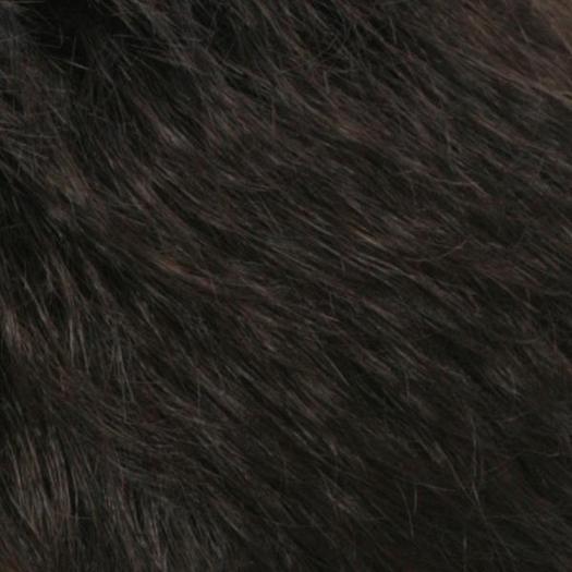 R2/4 | Darkest Brown Blended With Dark Brown