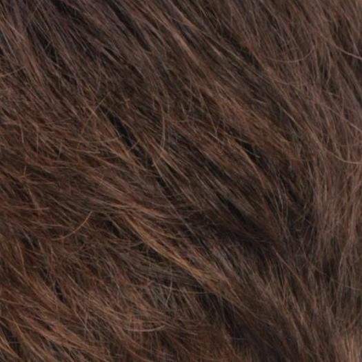 R6/27H | Chestnut Brown With Light Auburn Highlights