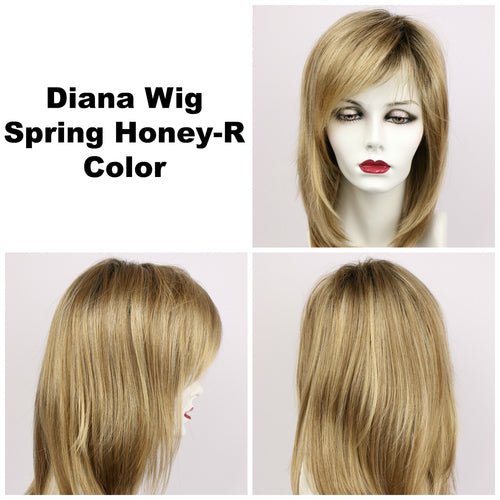 Diana Synthetic Lace Front Wig by Godiva Secret Wigs - Wig Studio 1