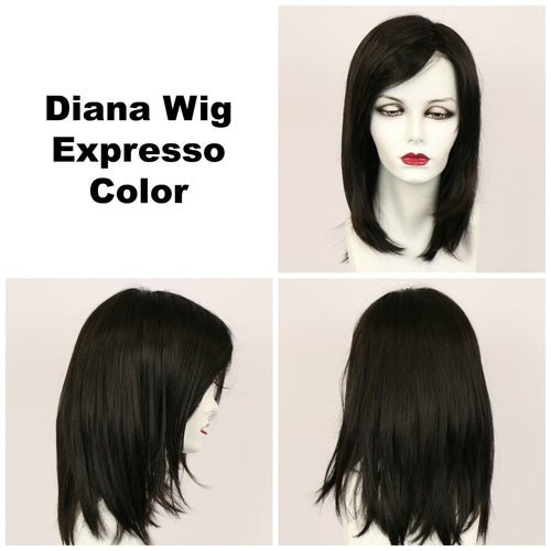 Diana Synthetic Lace Front Wig by Godiva Secret Wigs - Wig Studio 1
