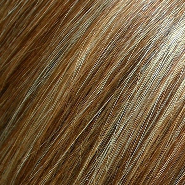 FS26/31S6 | Salted Caramel | Med Natural Red Brown w/ Med Red Gold Blonde Bold Highlights, Shaded w/ Brown