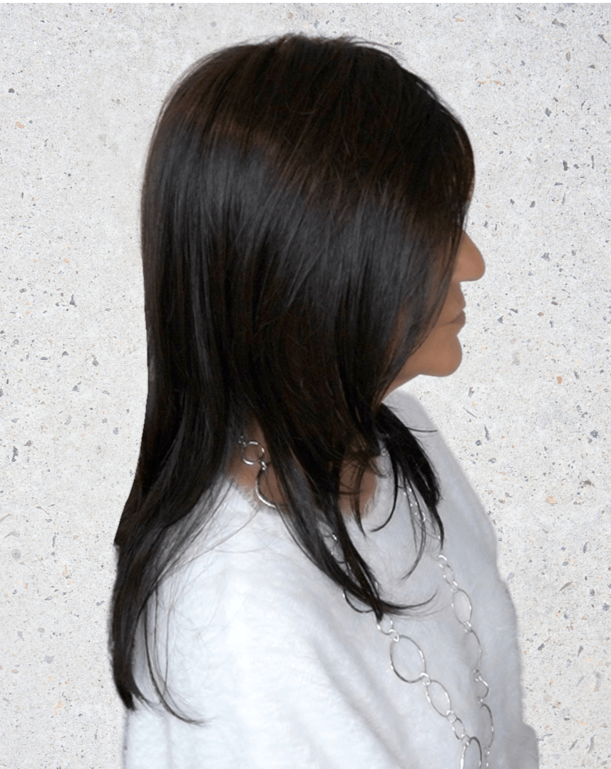 En Vogue | HF Synthetic Lace Front Wig | Mono Crown - Wig Studio 1