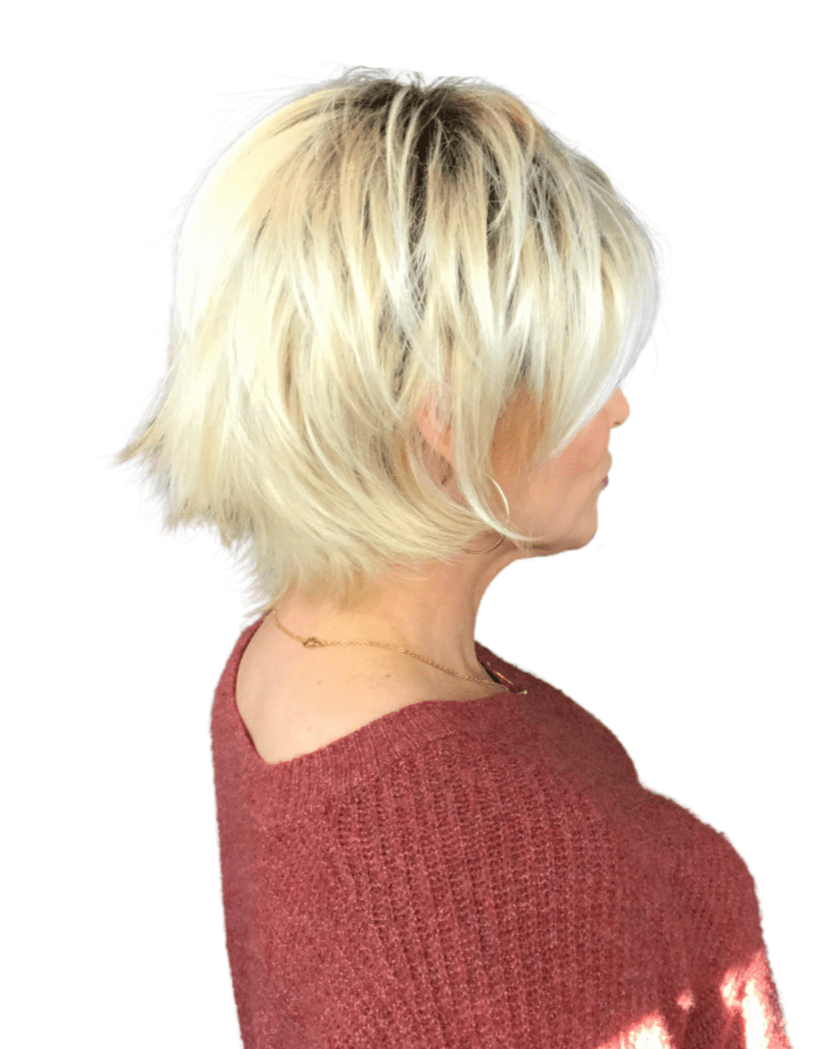 Fame by Ellen Wille | Synthetic Lace Front Wig | Mono Part - Wig Studio 1