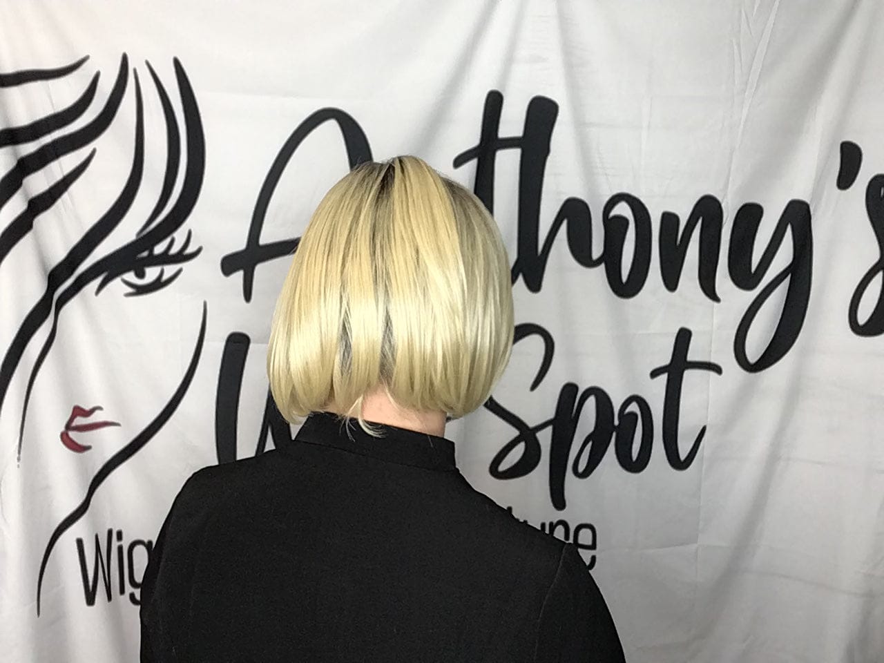 Let's Rendezvous by Raquel Welch| HF Synthetic Lace Front Wig | Mono Top - Wig Studio 1