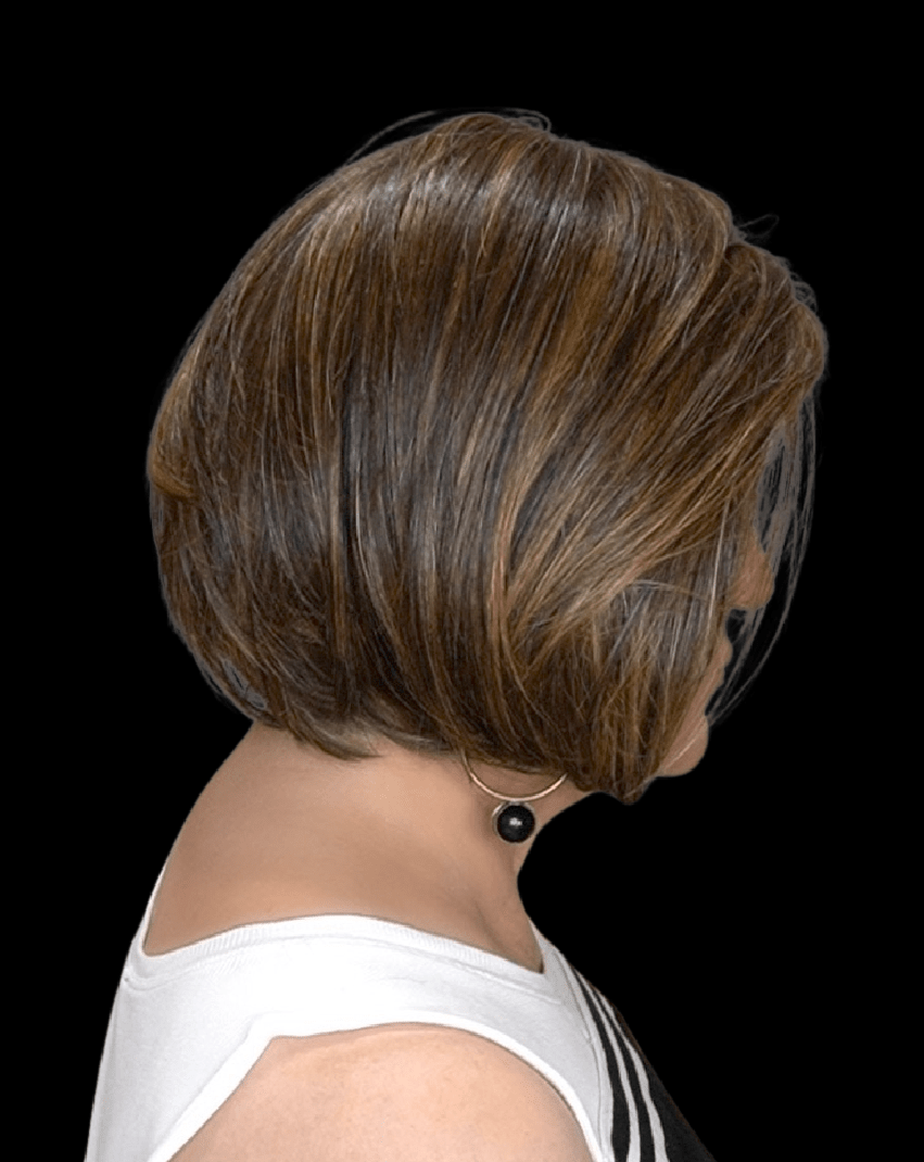 Let's Rendezvous by Raquel Welch| HF Synthetic Lace Front Wig | Mono Top - Wig Studio 1
