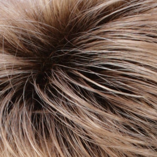 R20RT8 | Light Auburn and Golden Blonde frost with Golden Brown roots