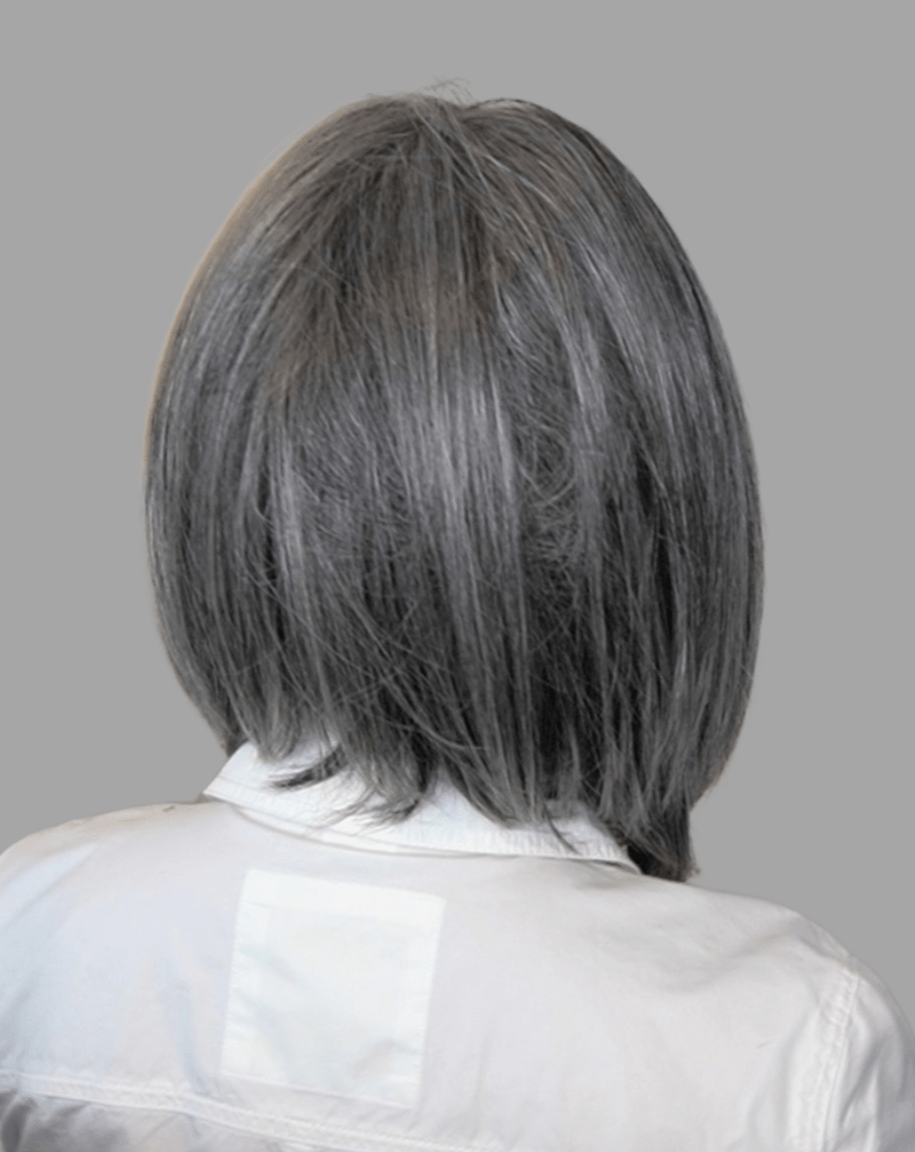 On Point by Raquel Welch | HF Synthetic Lace Front Wig | Mono Part - Wig Studio 1