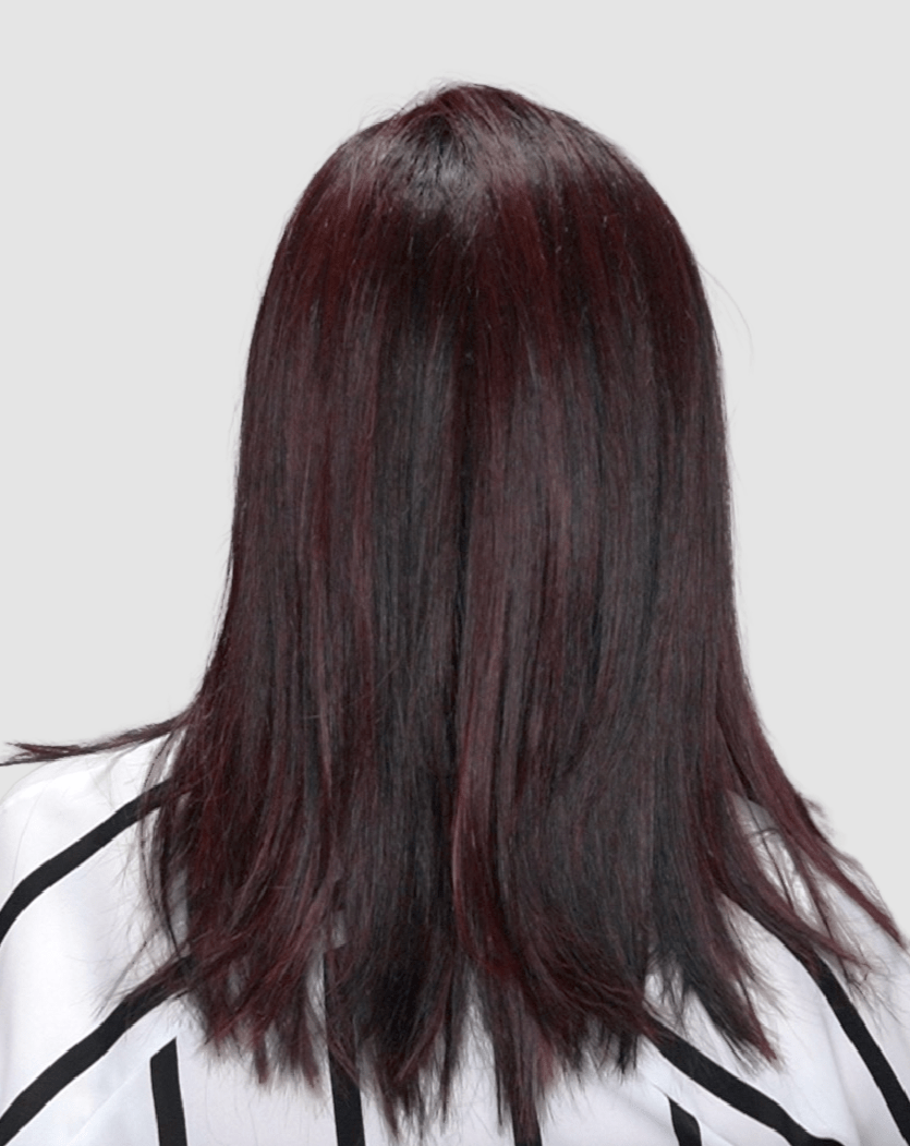 Open Box | Picture Perfect Wig by TressAllure | Average Cap | 12R - Wig Studio 1