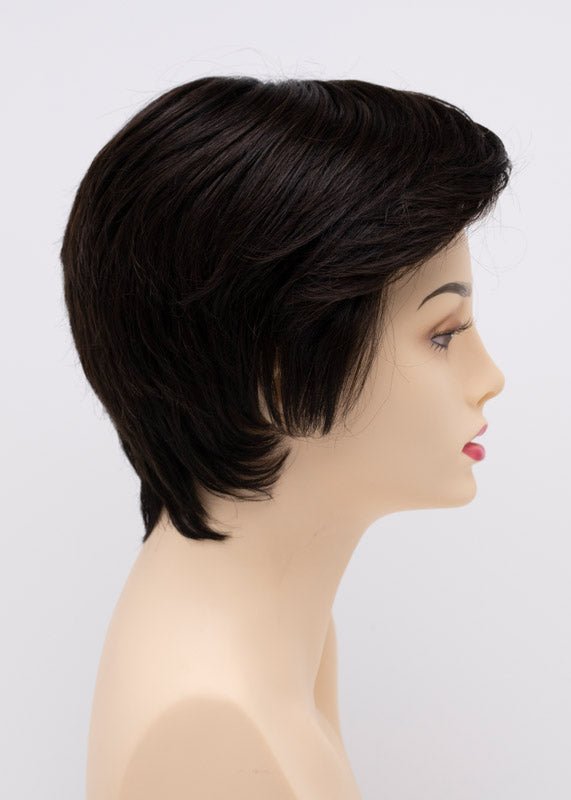 Paula by Envy | Human Hair/Heat Friendly Synthetic Blend Wig - Wig Studio 1
