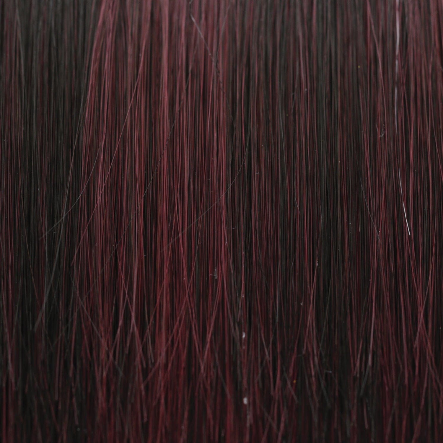 1B/BURG | Black with Burgandy