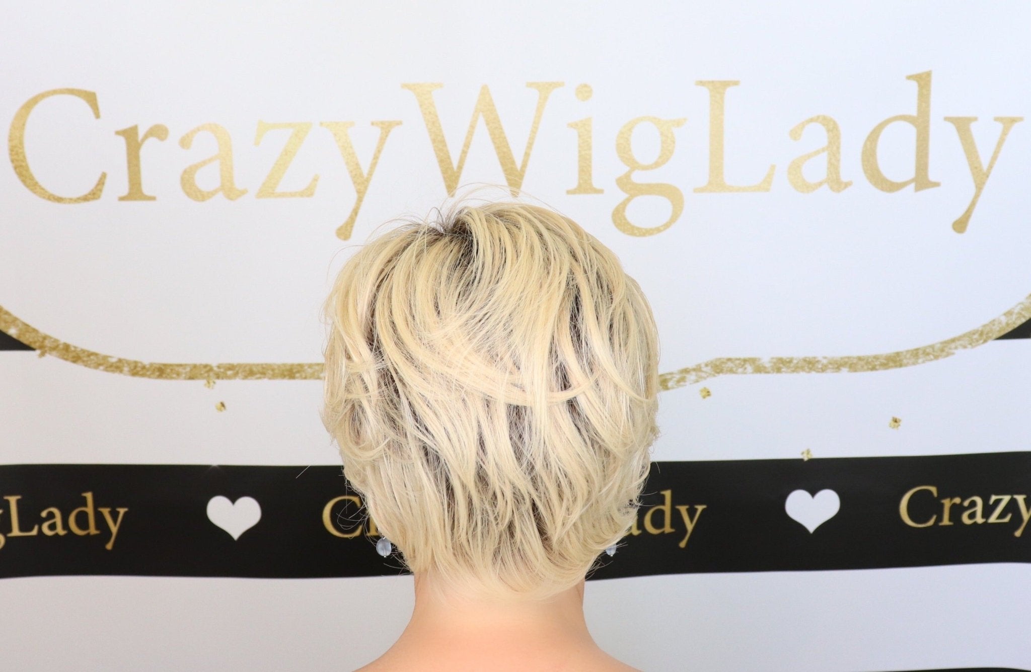 Ready For Takeoff by Raquel Welch | HF Synthetic Lace Front Wig | Mono Top - Wig Studio 1