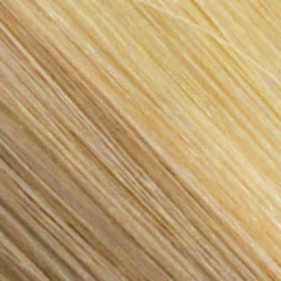 R16/22 | Honey Blonde/Light Ash Blonde Blend