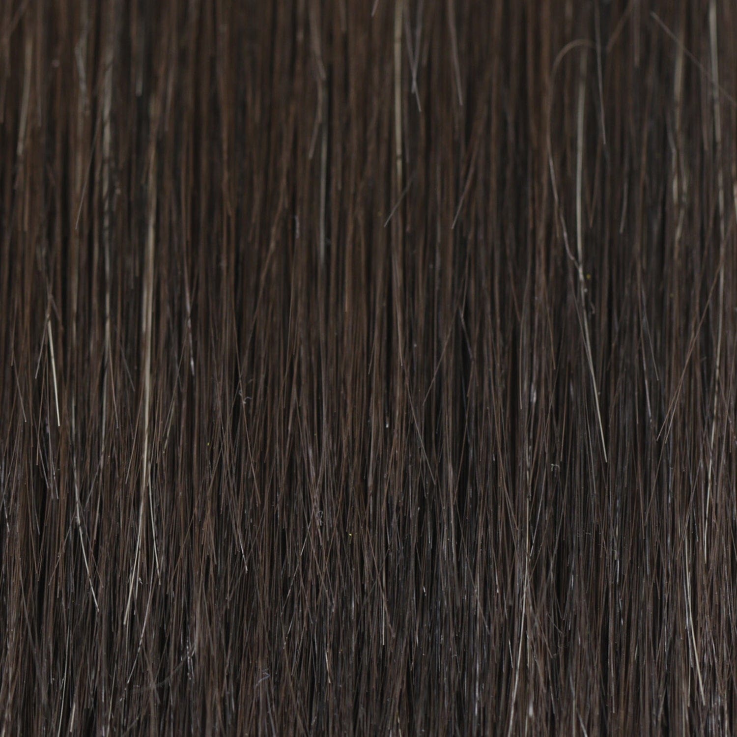 2/4R | Very Dark Brown with highlights