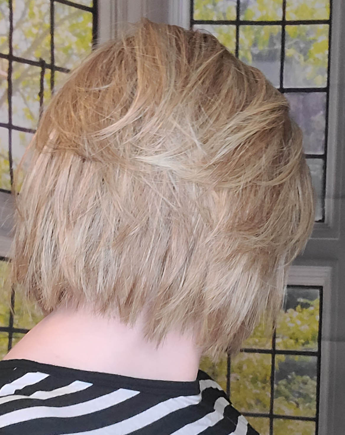 Sheer Joy by TressAllure | HF Synthetic Lace Front Wig | Mono Top - Color