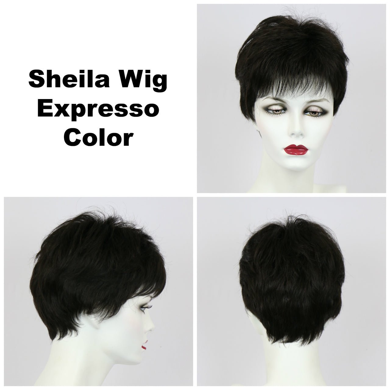 Sheila Synthetic Wig by Godiva Secret Wigs | Basic Cap - Wig Studio 1