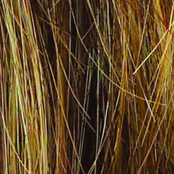 R9F26 | Mocha Foil | Warm, Medium Brown with Gold highlights around the face