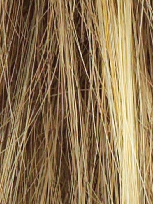 R13F25 | Praline Foil | Neutral Medium Brown with Pale Gold highlights around the face