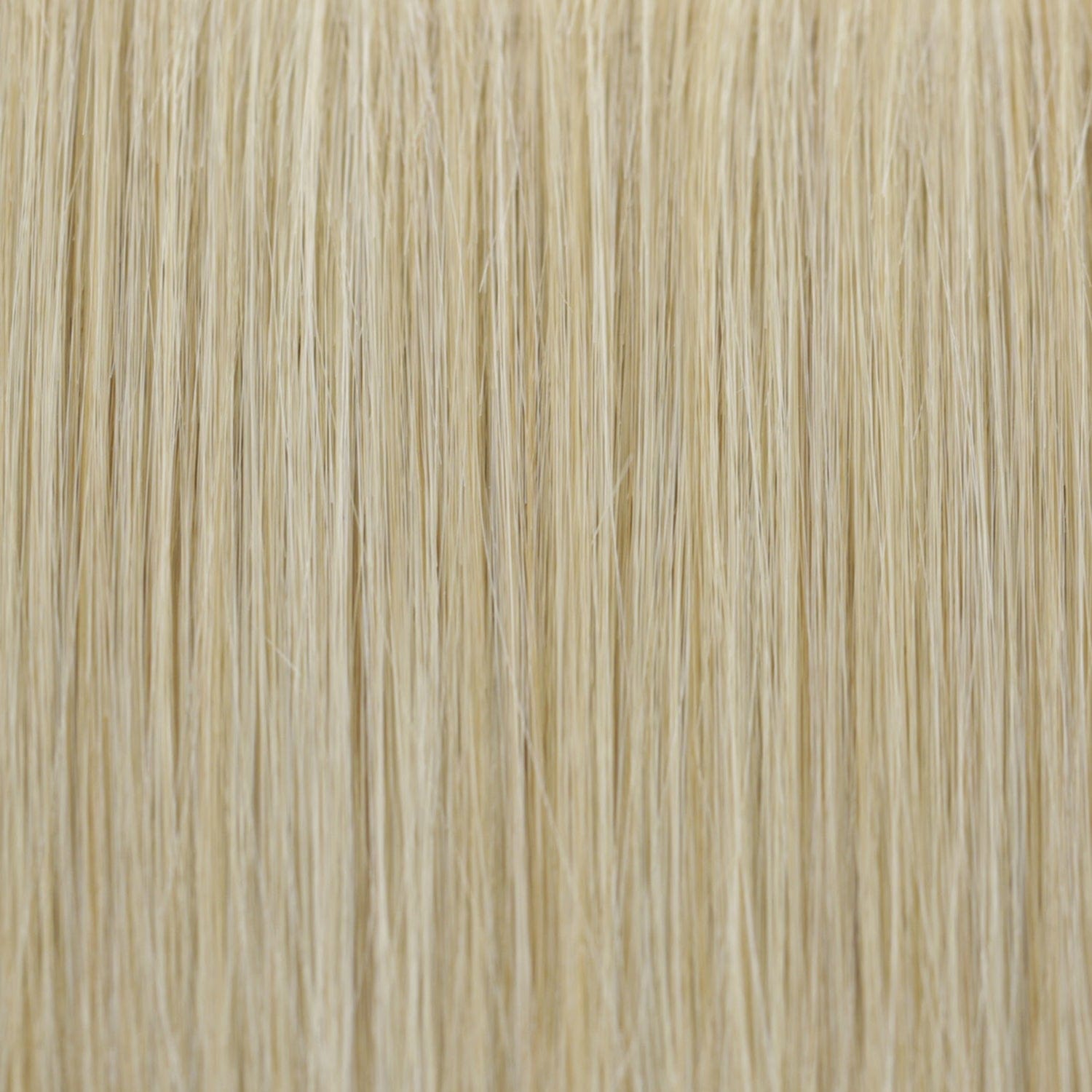 The Extension 22” | Dark Golden Blonde