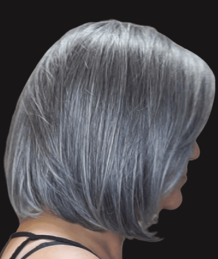 Timeless Beauty Synthetic Lace Front Wig by Gabor | Mono Part - Wig Studio 1