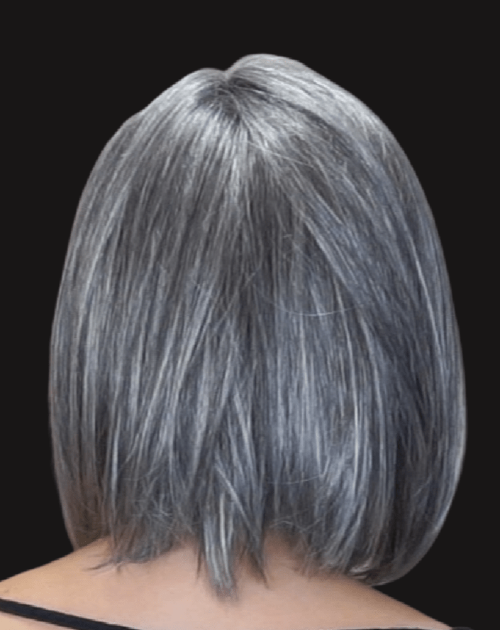 Timeless Beauty Synthetic Lace Front Wig by Gabor | Mono Part - Wig Studio 1