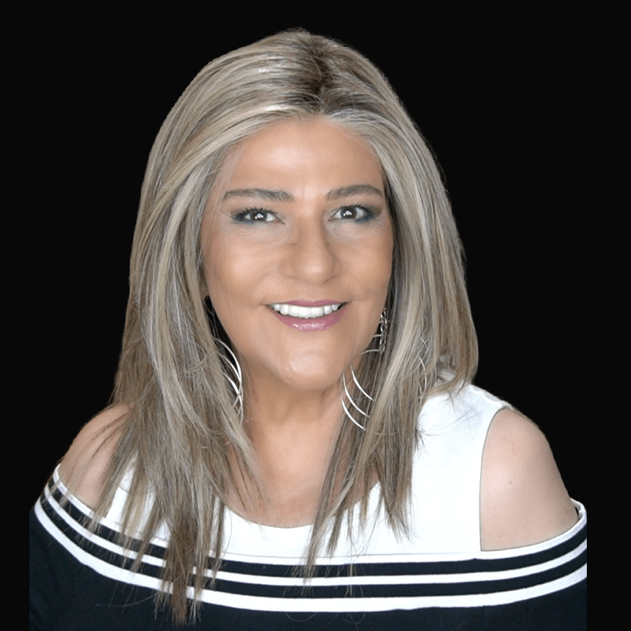 Well Played by Raquel Welch | HF Synthetic Lace Front Wig | Mono Part - Wig Studio 1