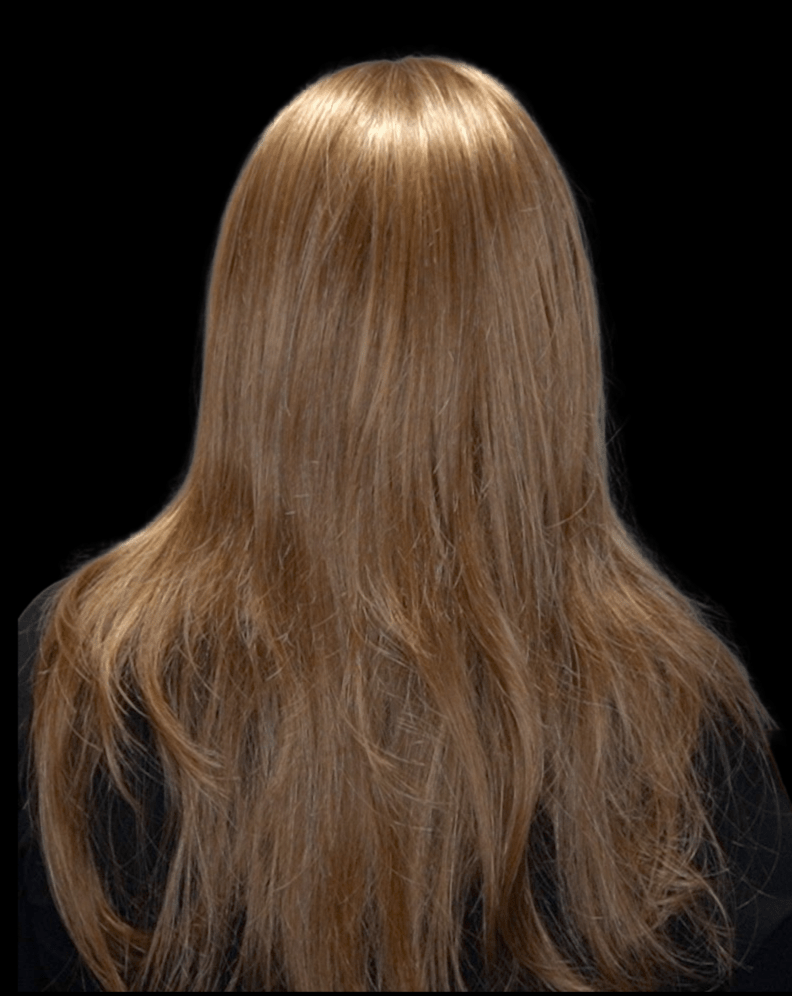 Zara Lite by Jon Renau | Synthetic Lace Front Wig | Hand Tied - Wig Studio 1