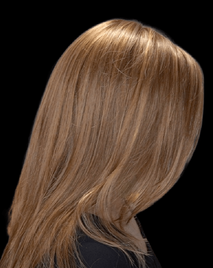 Zara Lite by Jon Renau | Synthetic Lace Front Wig | Hand Tied - Wig Studio 1