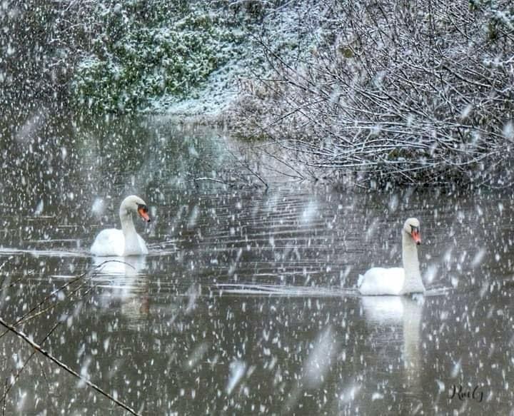 Who do you think you are? - Wig Studio 1