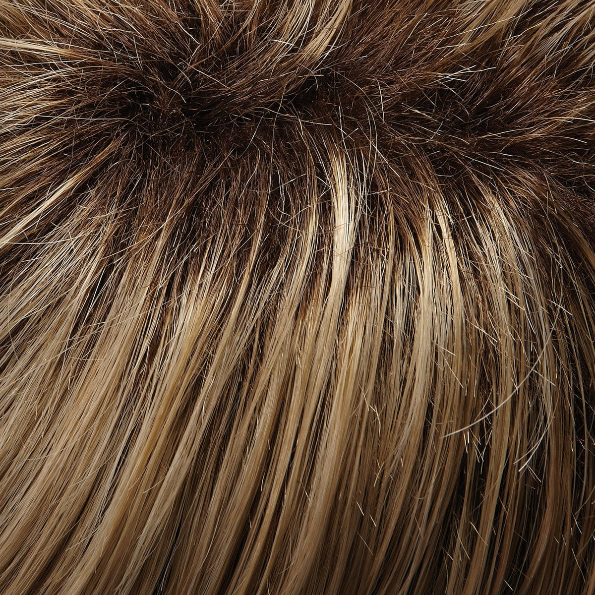 brown and blonde highlights