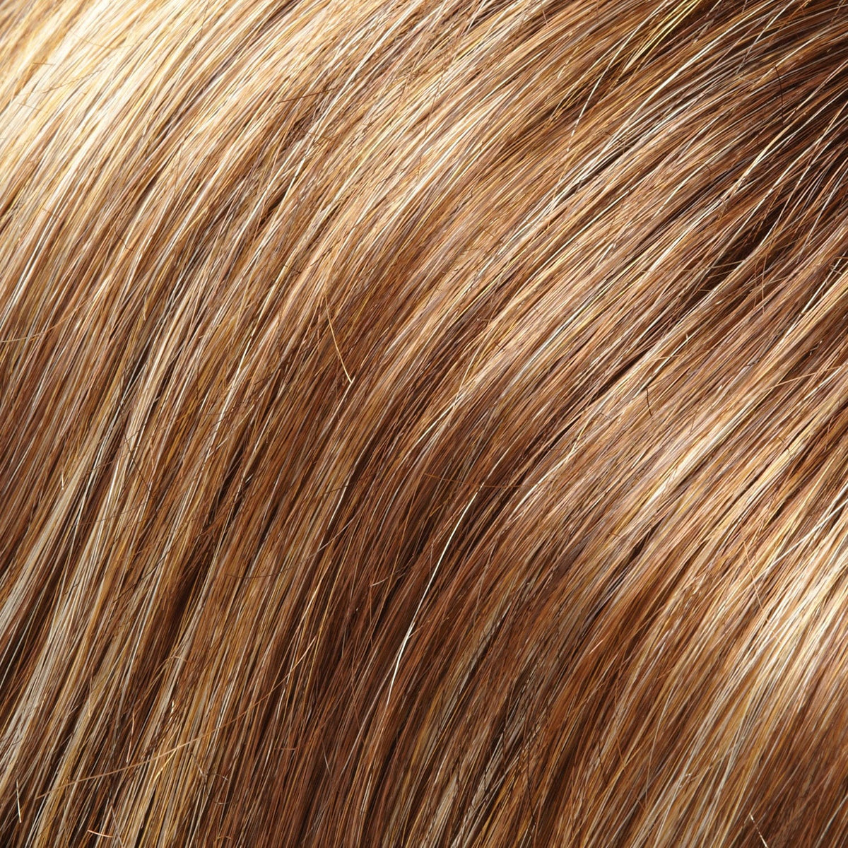 10F | Farmhouse Cookie | Lt Brown w/ Lt Gold Blonde Highlights