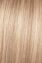 21" Straight Claw Clip Pony by Hairdo | Heat Friendly Synthetic Hair - Wig Studio 1