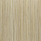 Champagne Glow | 22R | Light Golden Blonde