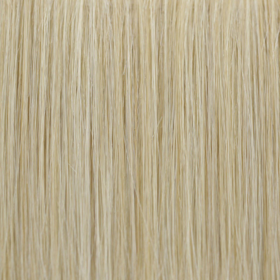 Champagne Glow | 22R | Light Golden Blonde