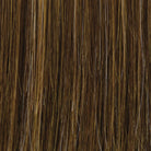Mocha Honey | 829 | Medium Brown with Caramel Highlights
