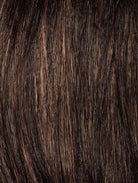 Color swatch of color Cinnamon Raisin by Envy Wigs - A warm chestnut brown blended with a sprinkle of auburn and cinnamon for just the right touch.