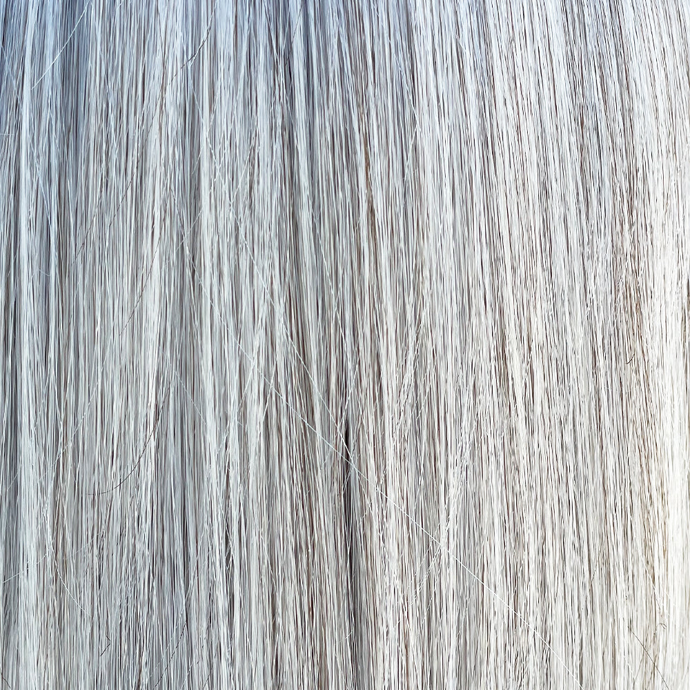 Oyster Gray