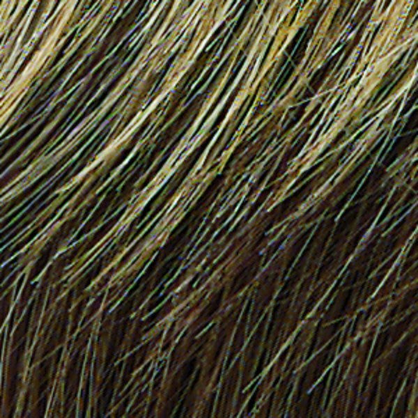 Raquel Welch Wigs - Color R11S+ Glazed Mocha